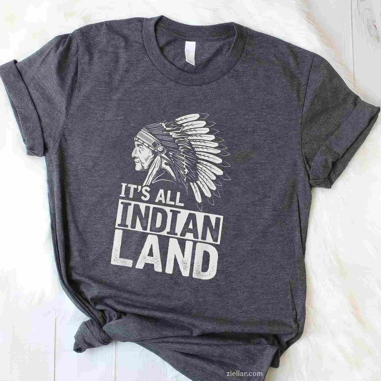 A Native American Woman With Native Blood T-Shirt And Tee For Women And Adults