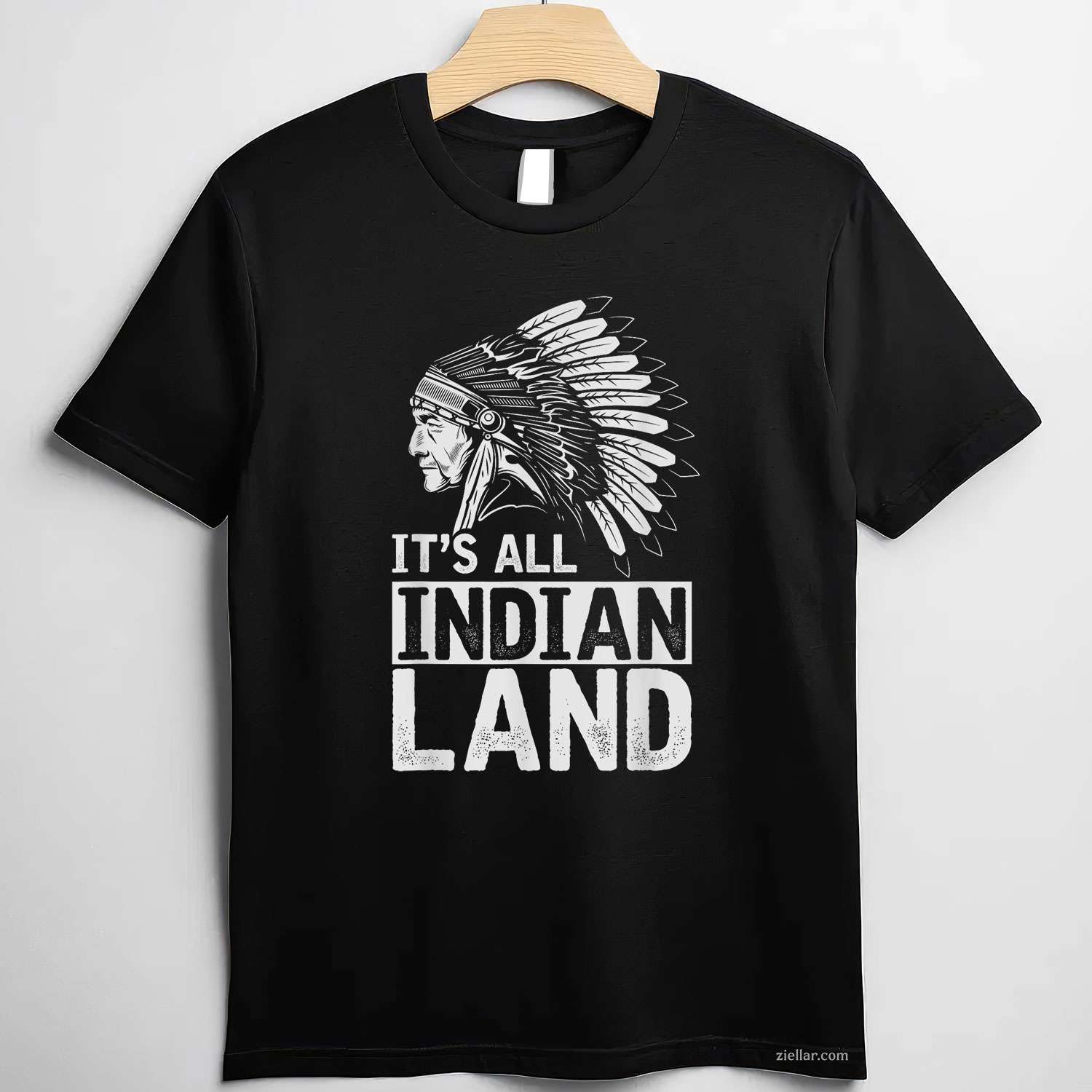 A Native American Woman With Native Blood T-Shirt And Tee For Women And Adults