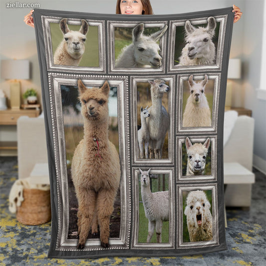 Alpaca Family Quilt Blanket, Fleece Blanket Funny Llama Patchwork Gift for Animal Lovers