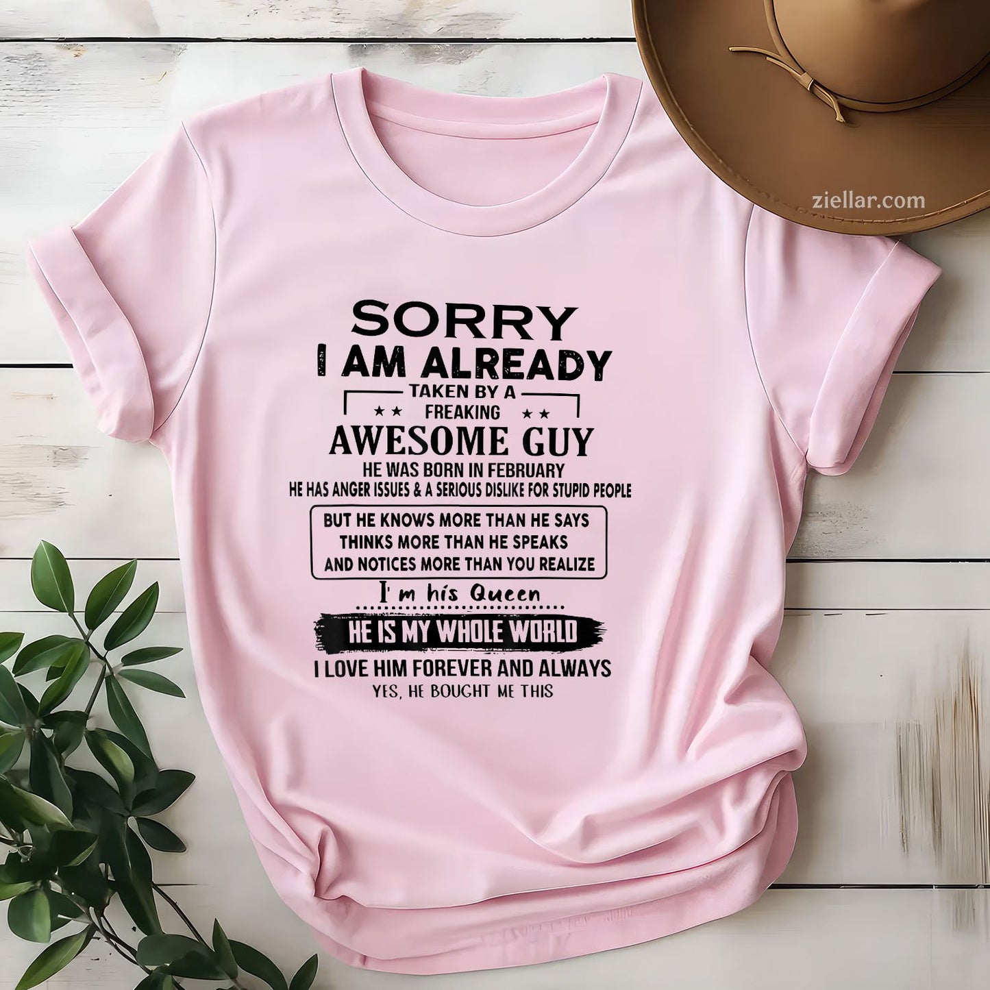 Already Taken by Awesome Guy February Tee and T-Shirt, Funny Love T-Shirt Gift for Women Adults