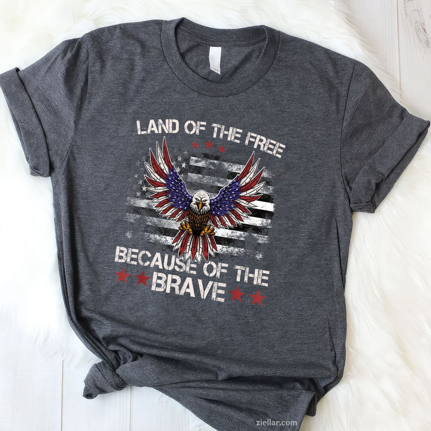 America Eagle Land of the Free Because