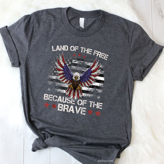 America Eagle Land of the Free Because