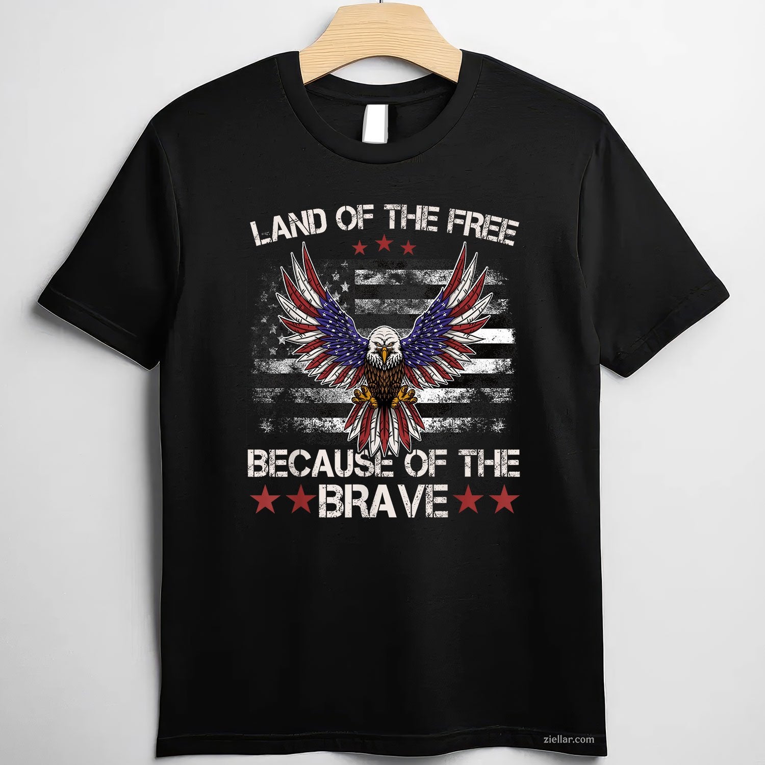 America Eagle Land of the Free Because
