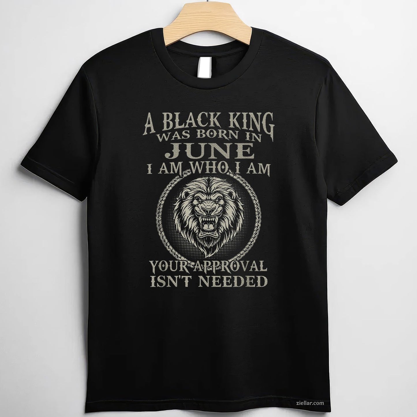 Birthday Gift Tee And