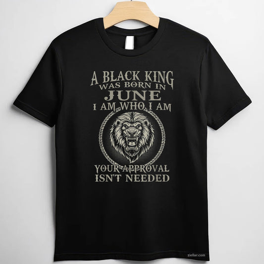 Birthday Gift Tee And
