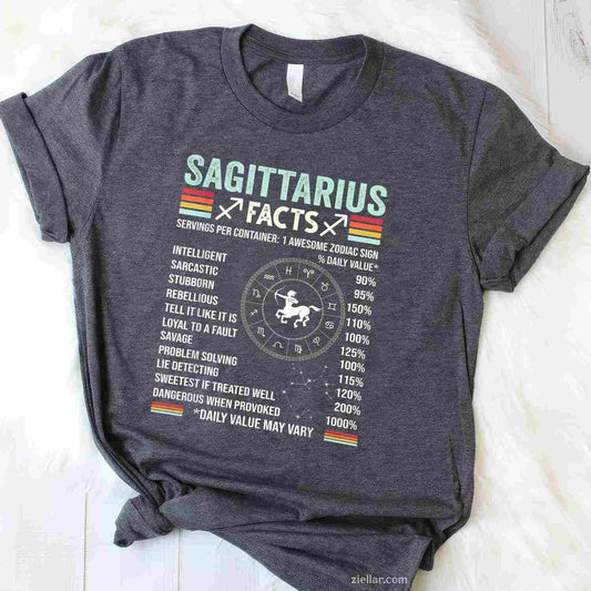 December Birthday Funny Sagittarius Zodiac Sign T-Shirt_ Cool Astrology Tee, A Great Gift For Men And Women