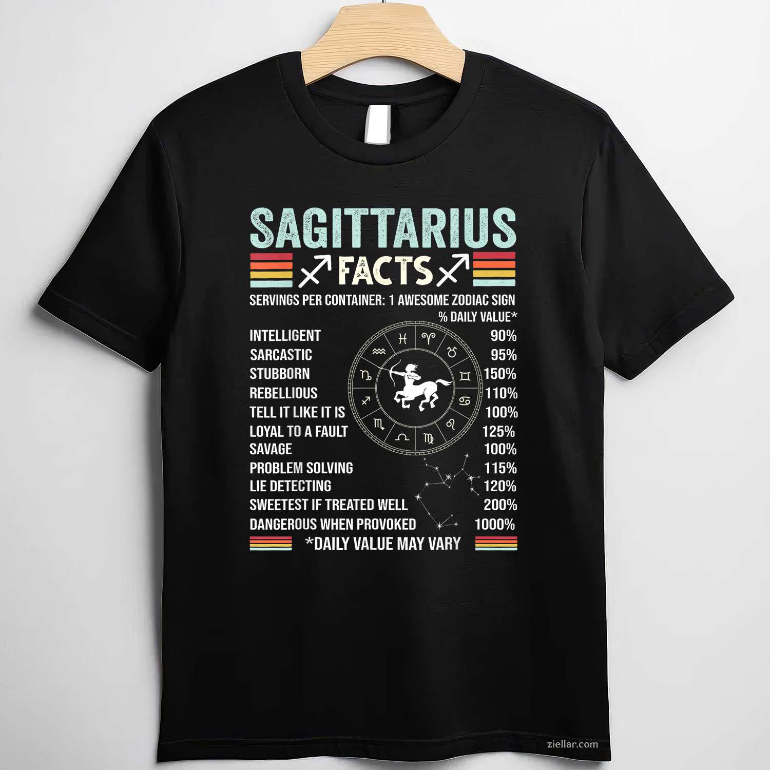 December Birthday Funny Sagittarius Zodiac Sign T-Shirt_ Cool Astrology Tee, A Great Gift For Men And Women
