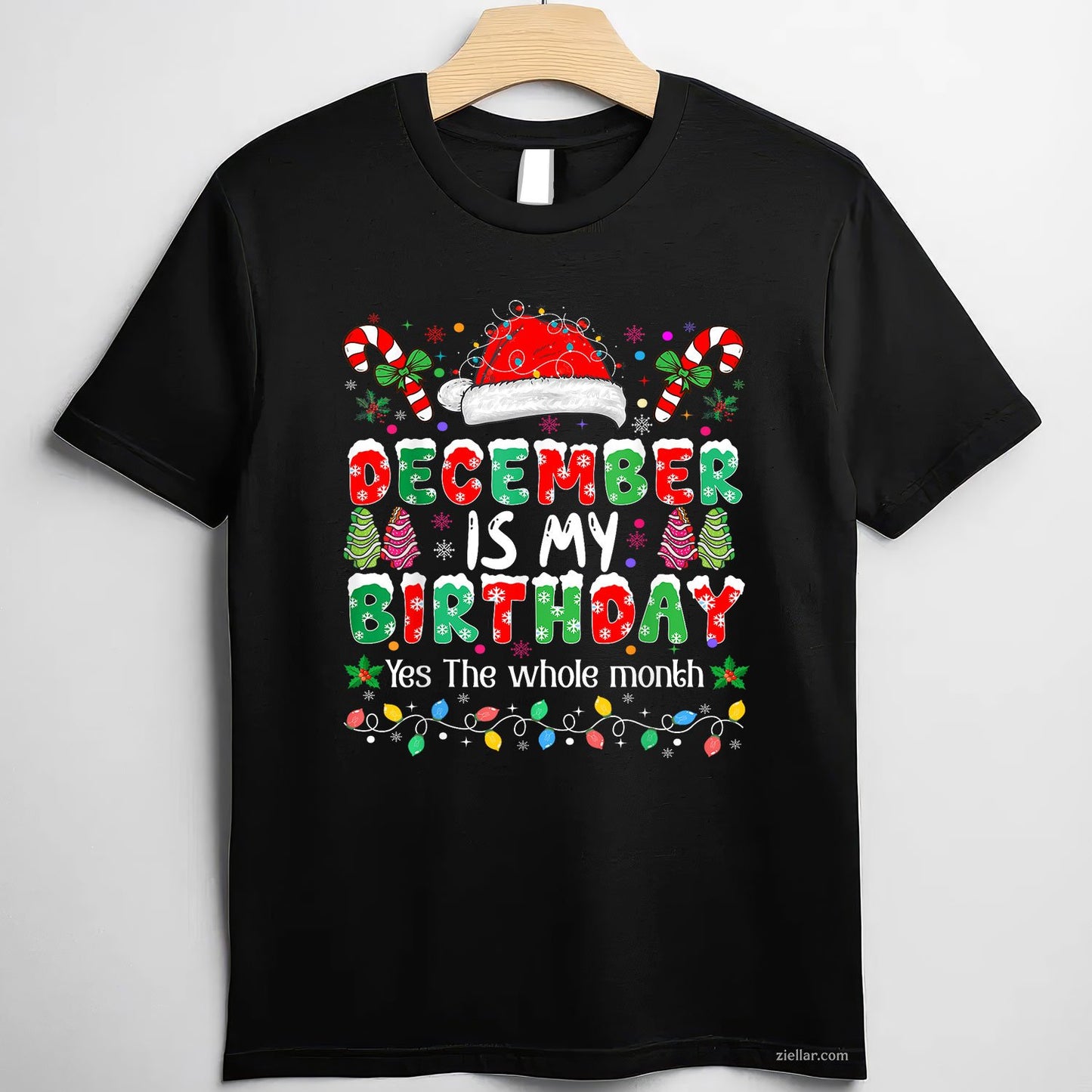 Funny December Birthday Tee and T-Shirt, Christmas Month T-Shirt Gift for Adults Born in December