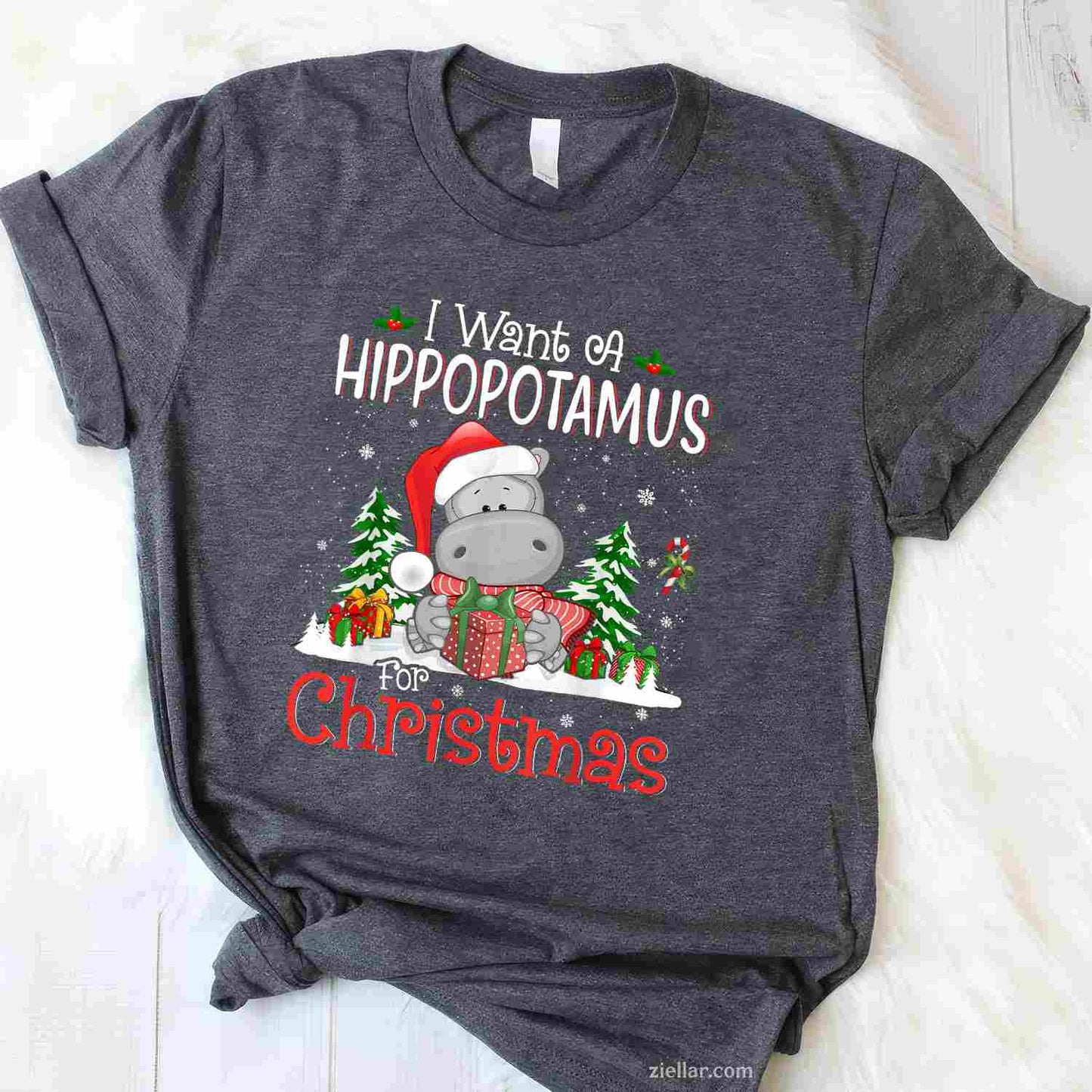 I Want A Hippopotamus For Christmas Xmas Hippo For Women T-Shirt, A Funny Hippopotamus For Christmas Hippo Tee