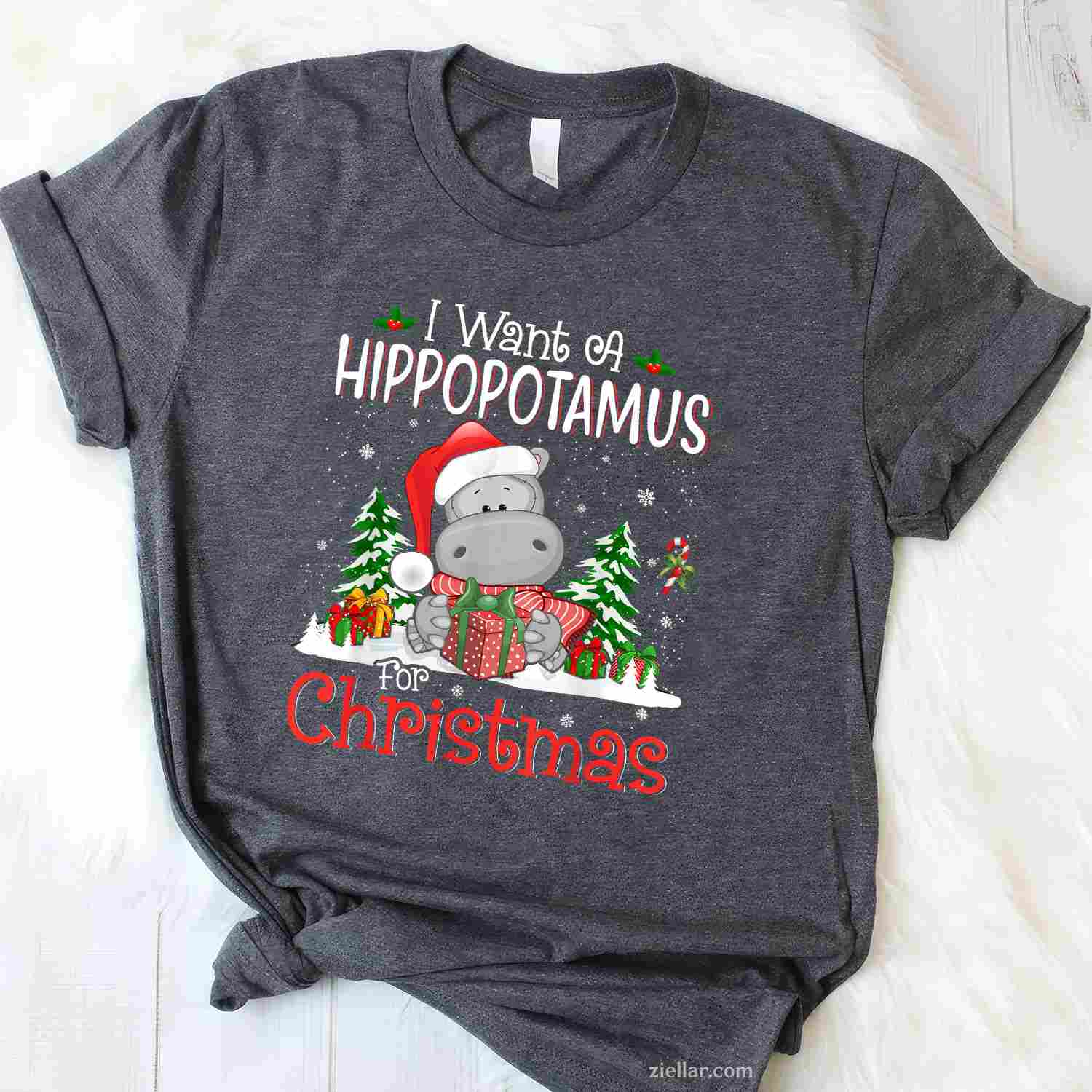 I Want A Hippopotamus For Christmas Xmas Hippo For Women T-Shirt, A Funny Hippopotamus For Christmas Hippo Tee