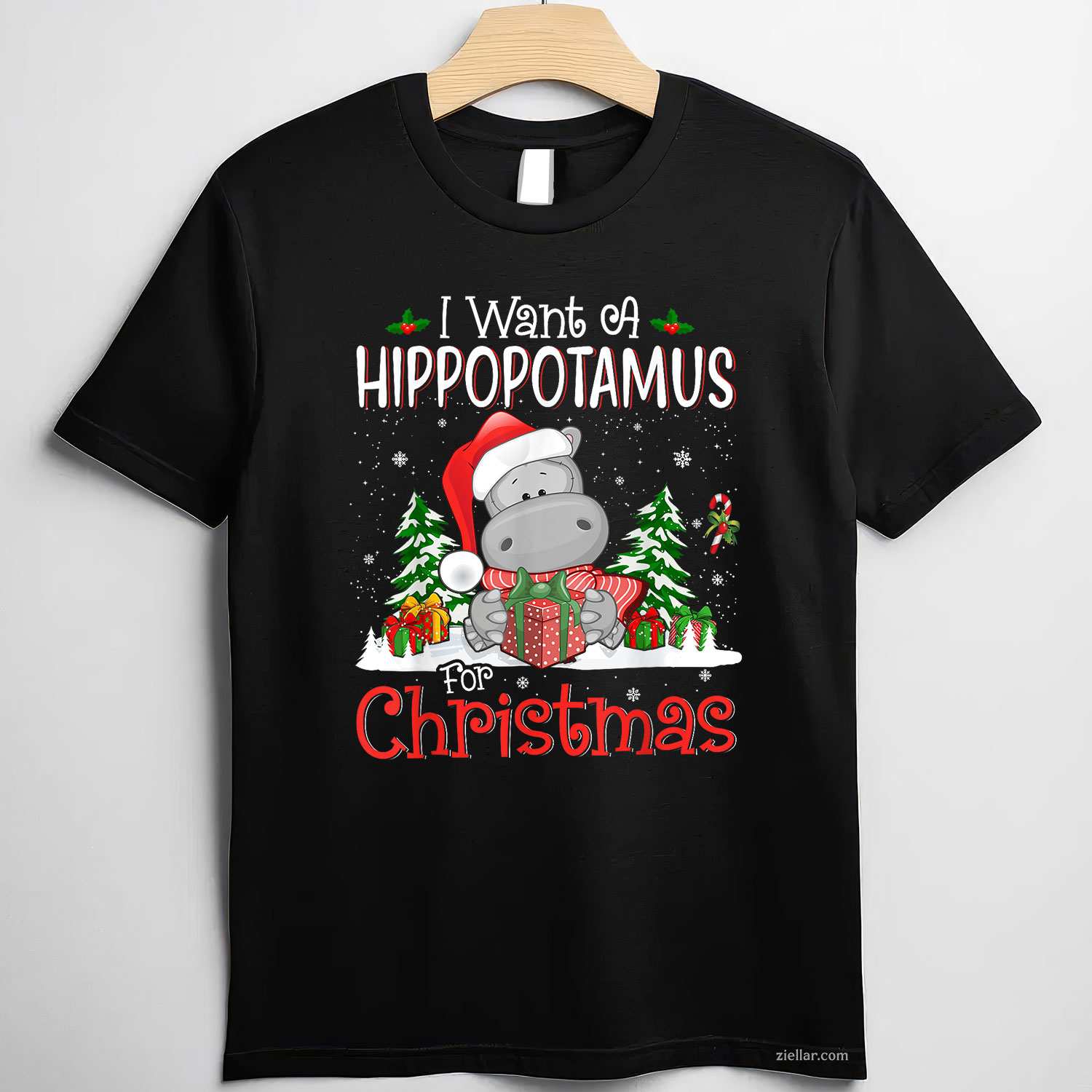 I Want A Hippopotamus For Christmas Xmas Hippo For Women T-Shirt, A Funny Hippopotamus For Christmas Hippo Tee