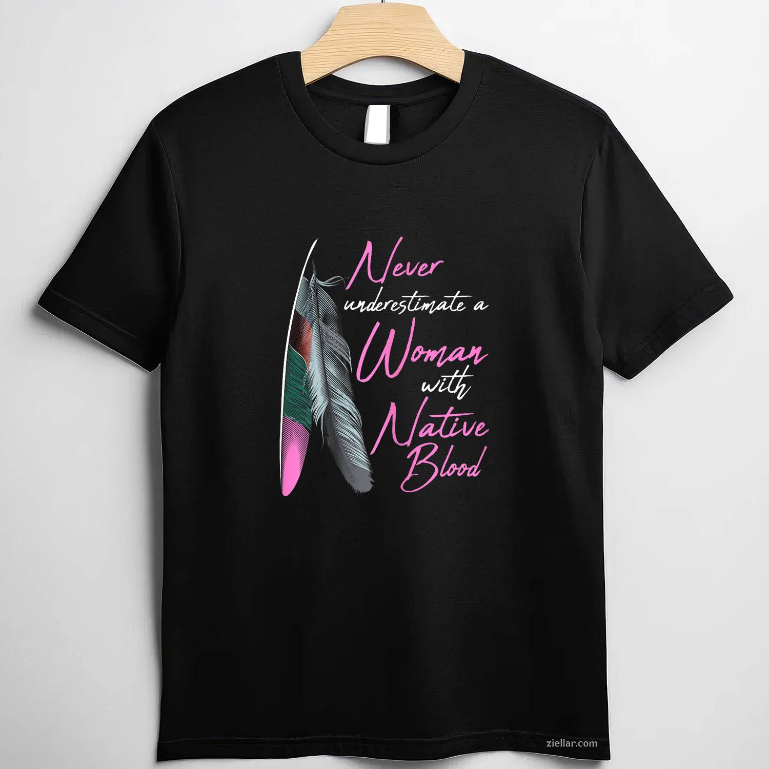 Native American Indian_ A Woman With Native Blood T-Shirt And Tee For Women And Adults