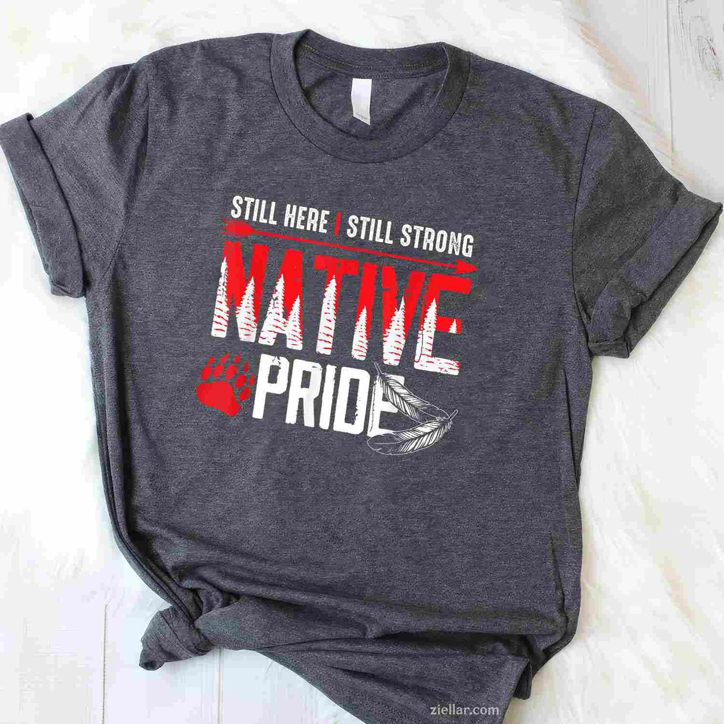 No One Is Illegal On Stolen Land Gifts, Native Americans T-Shirt And Tee For Adults