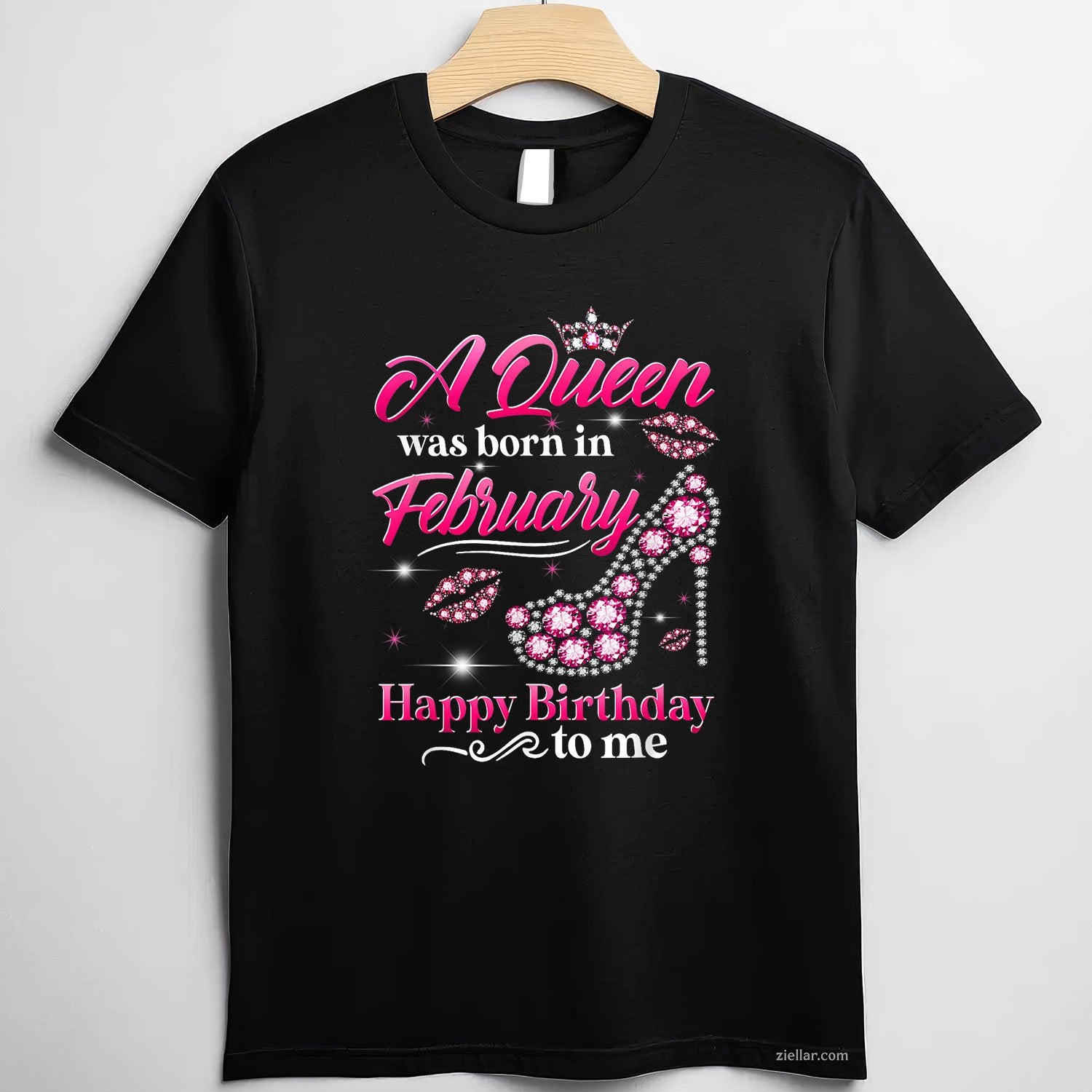 Queen Born in February Tee and T-Shirt, Diamond Crown Birthday T-Shirt Gift for Women Adults