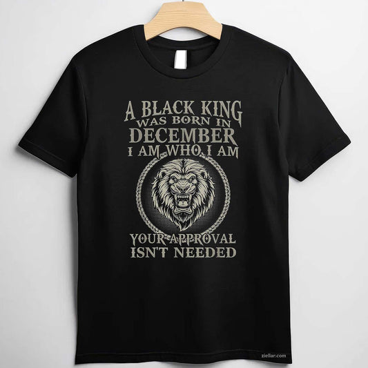 Sorry I Am Already Taken By A Freaking Awesome Girl December T-Shirt_ Funny Relationship Tee For Men