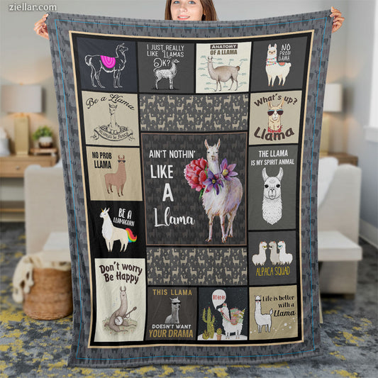 Funny Cat Sayings Quilt Blanket, Fleece Blanket Cute Kitty Quotes for Cat Lovers Gift