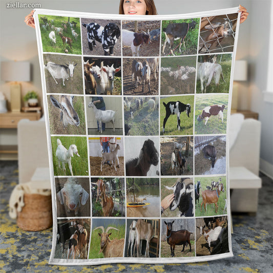 Farm Animal Photo Collage Quilt Blanket, Fleece Blanket Country Life Design