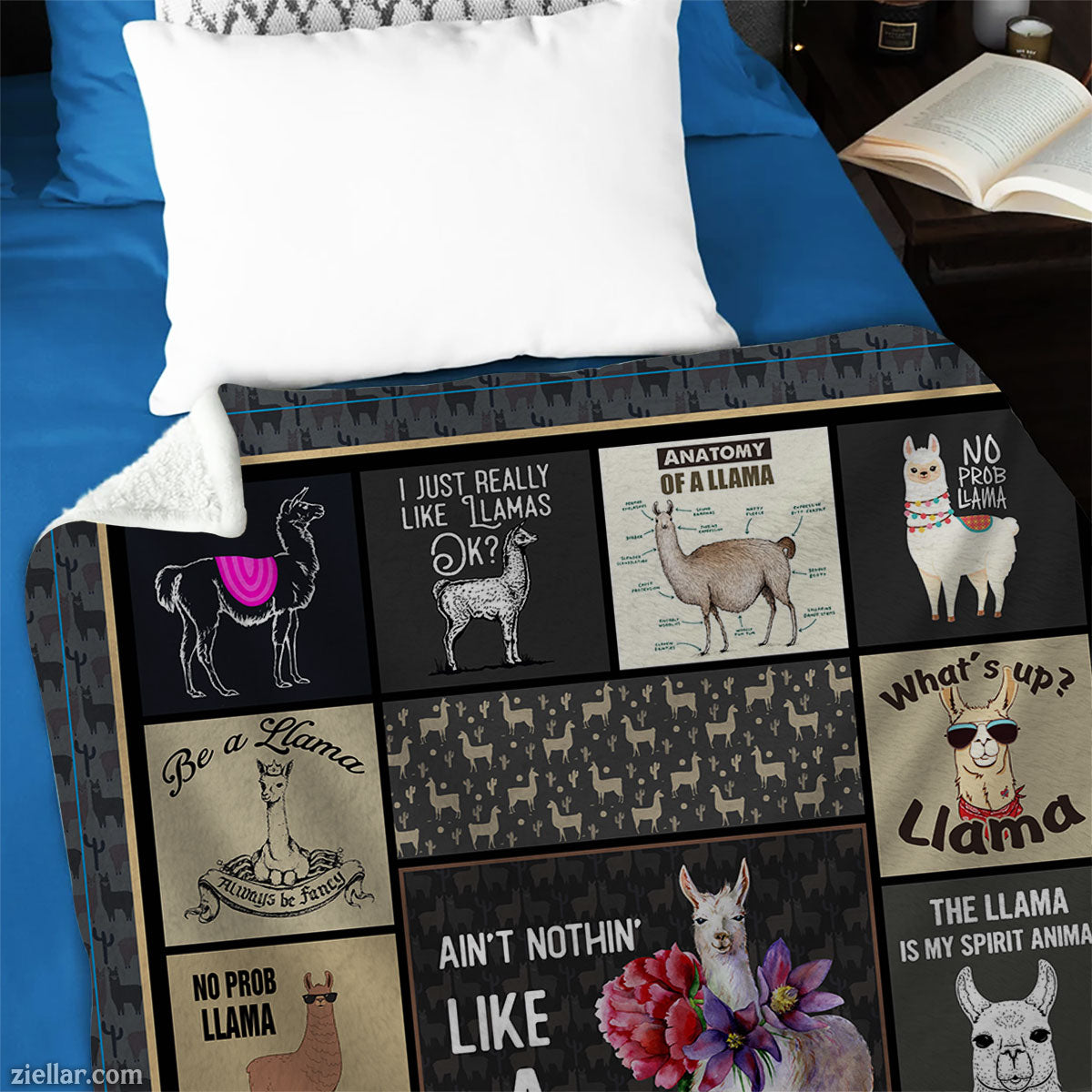 Funny Cat Sayings Quilt Blanket, Fleece Blanket Cute Kitty Quotes for Cat Lovers Gift