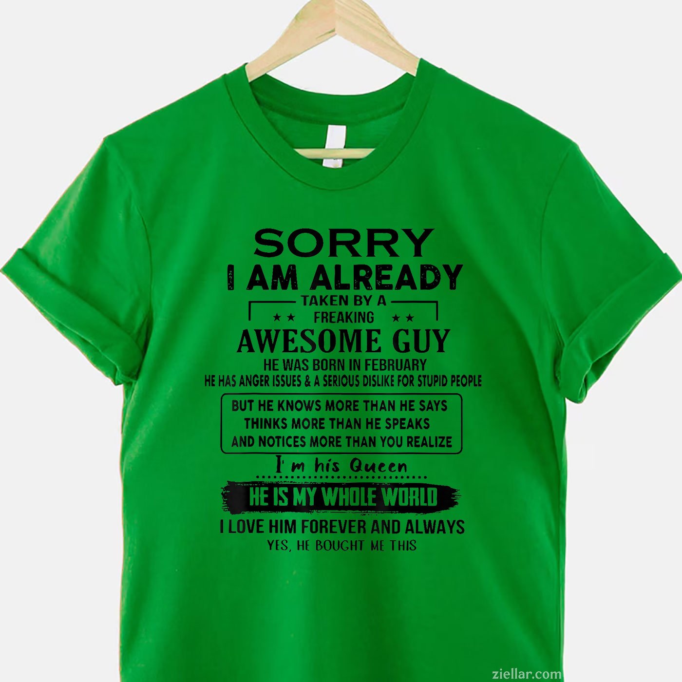 Already Taken by Awesome Guy February Tee and T-Shirt, Funny Love T-Shirt Gift for Women Adults