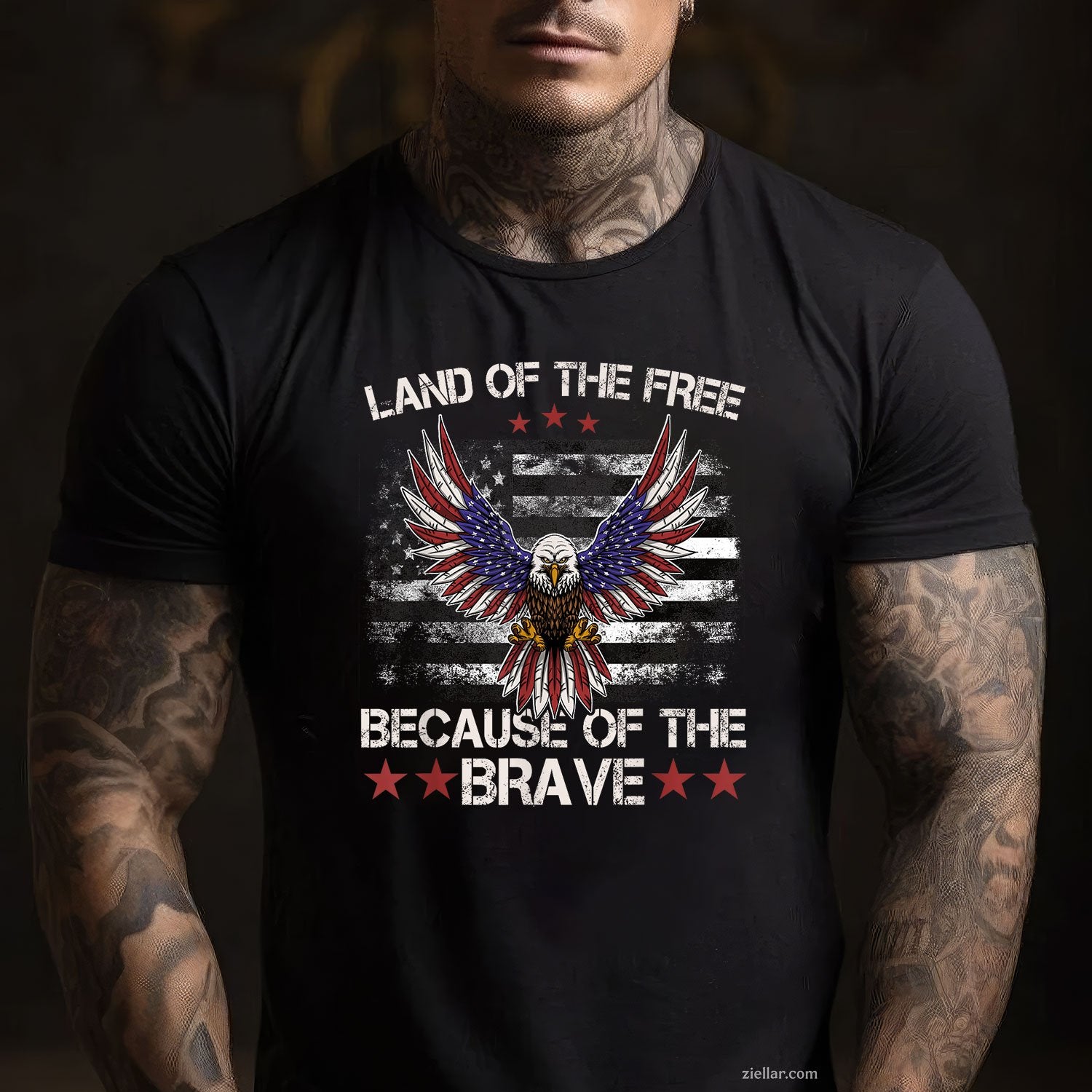 America Eagle Land of the Free Because