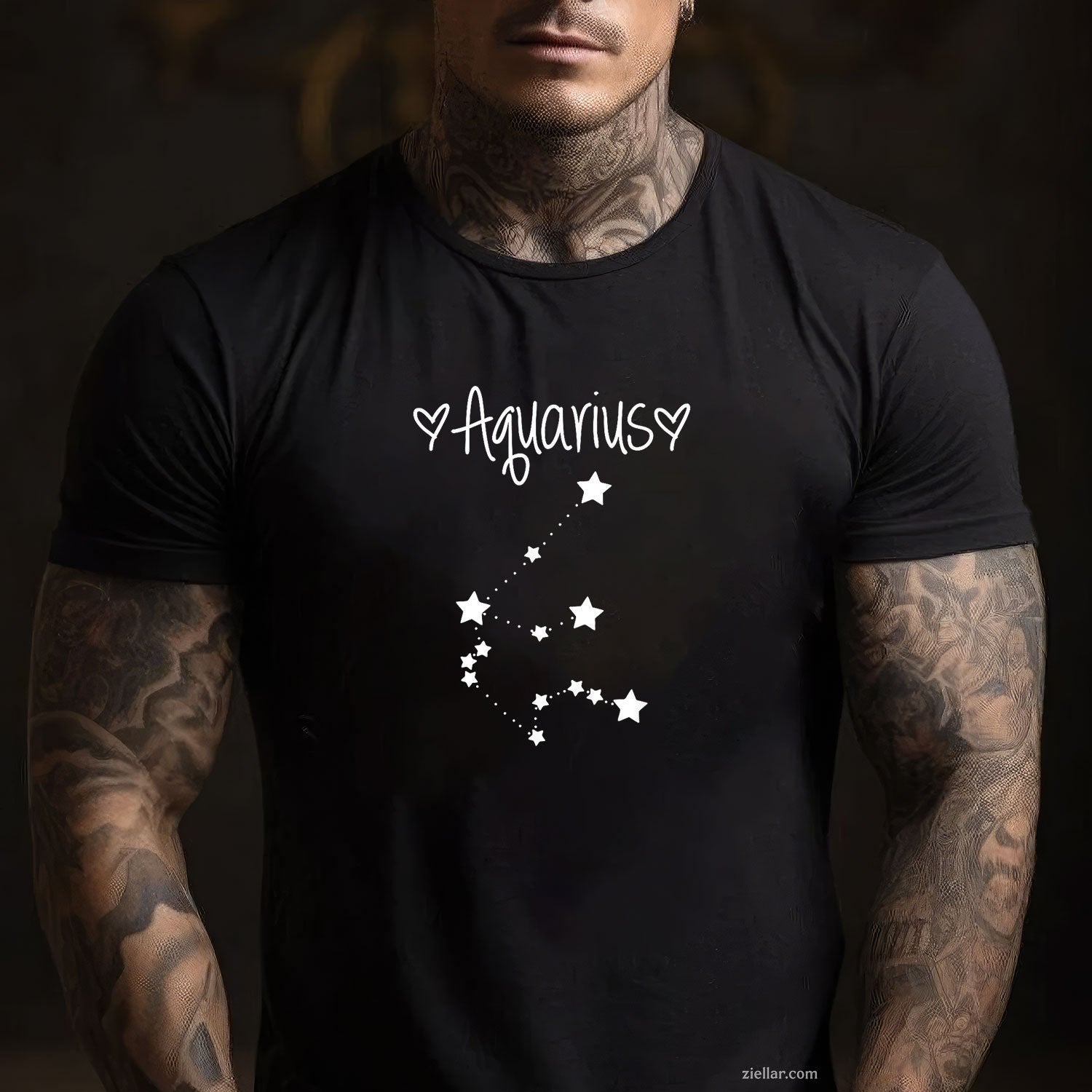 Aquarius Horoscope Tee and T-Shirt, Zodiac Birthday Gift T-Shirt for January February Adults
