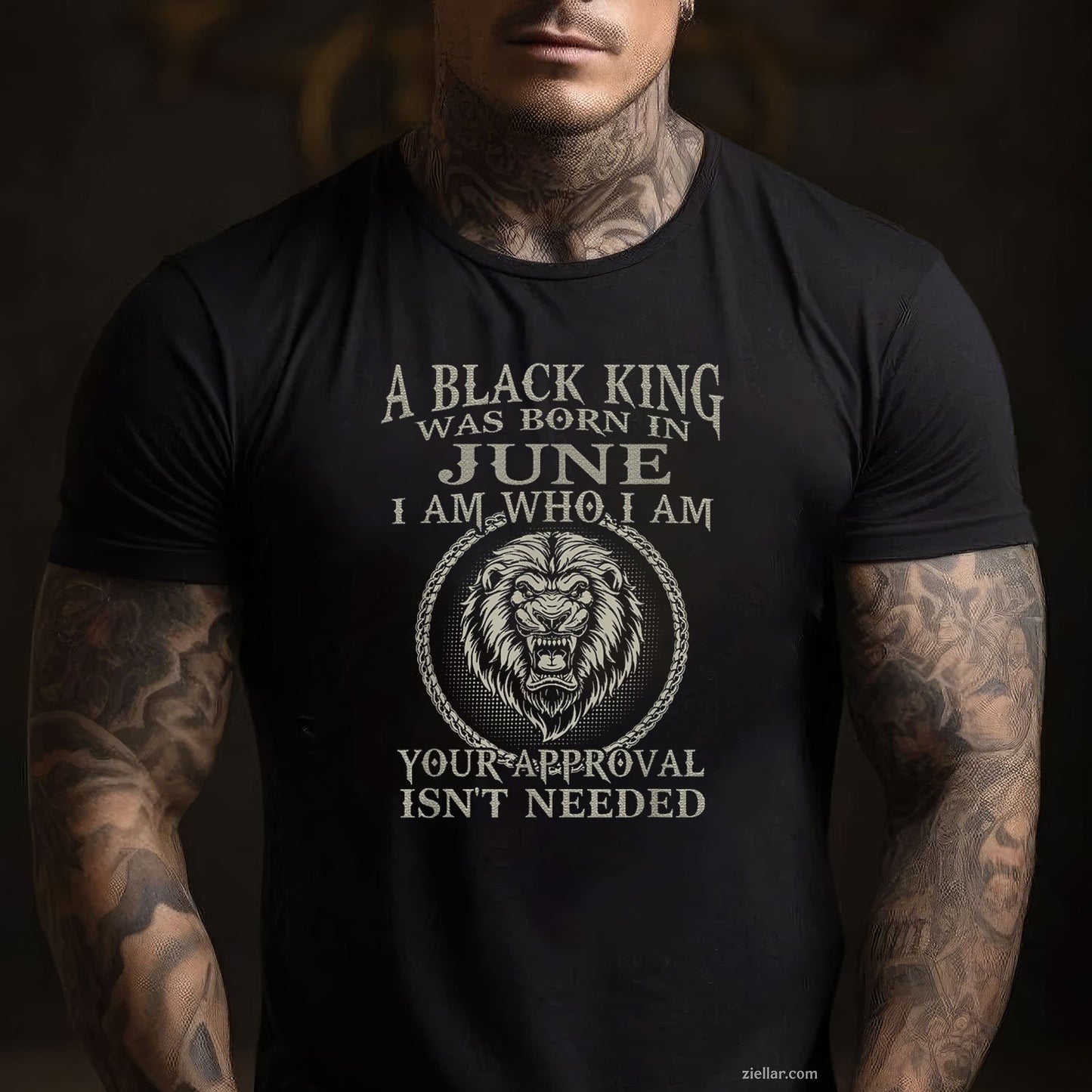 Birthday Gift Tee And