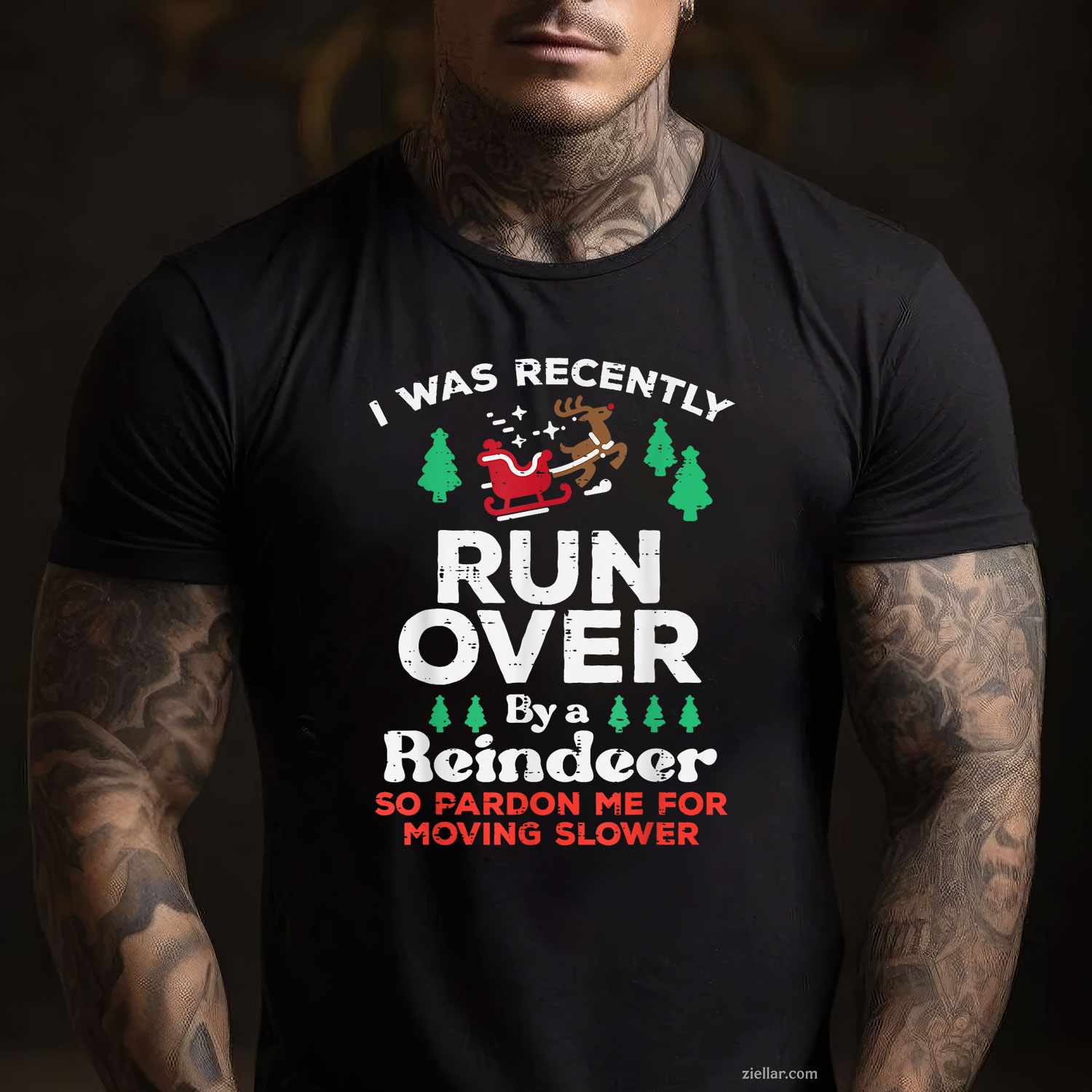 Christmas Runover By Reindeer Funny Xmas Women Men T-Shirt, A Funny Xmas Animal Lover Tee For Adults