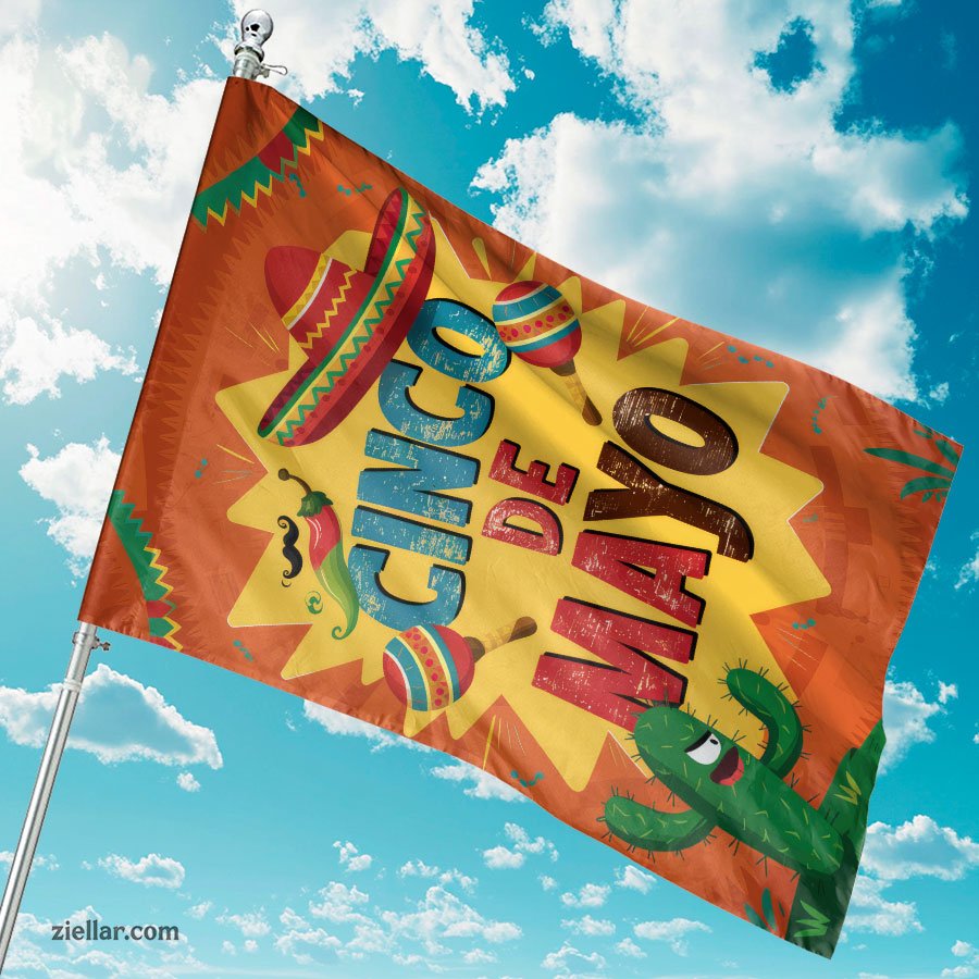 Cinco de Mayo Sombrero Maracas Flag 12x18 Fun Mexican Party Yard Outdoor Decor