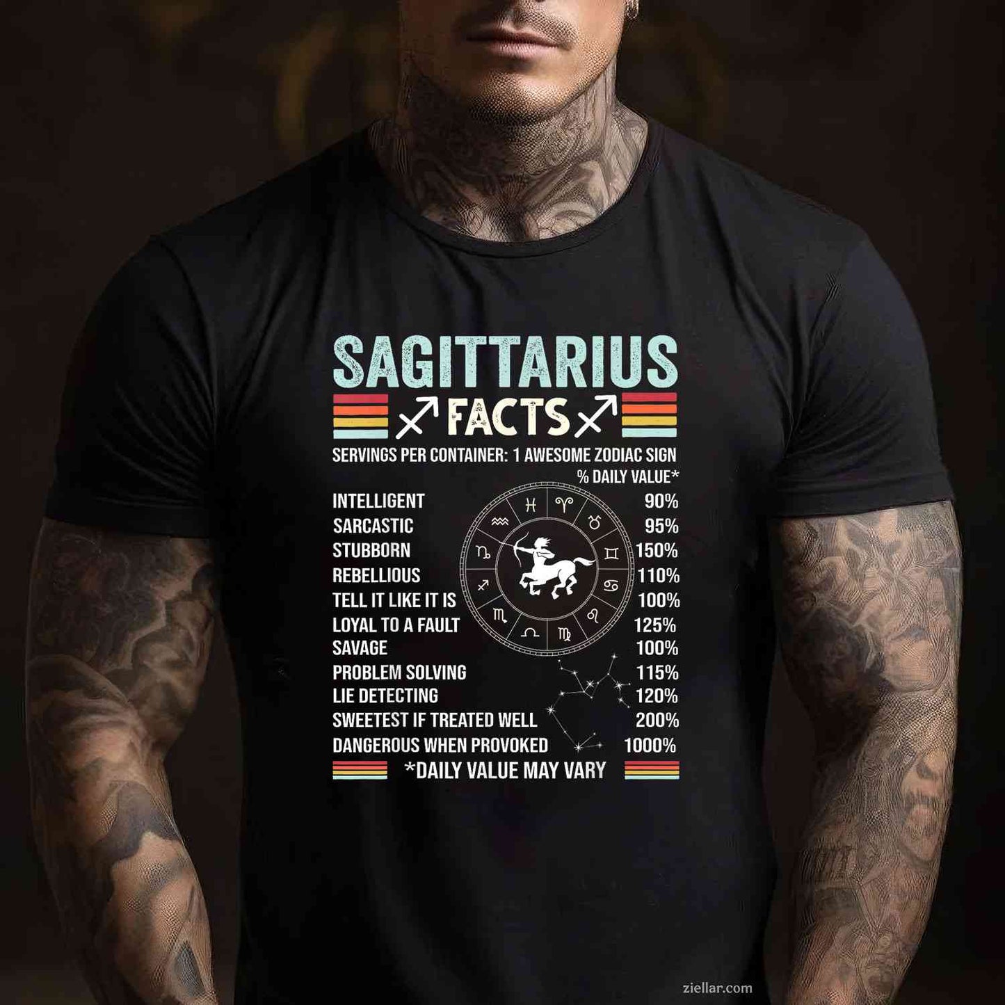 December Birthday Funny Sagittarius Zodiac Sign T-Shirt_ Cool Astrology Tee, A Great Gift For Men And Women