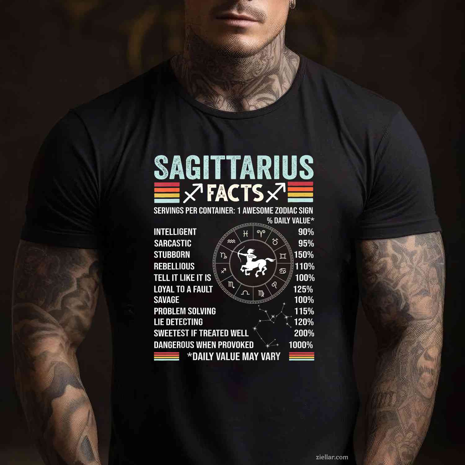 December Birthday Funny Sagittarius Zodiac Sign T-Shirt_ Cool Astrology Tee, A Great Gift For Men And Women