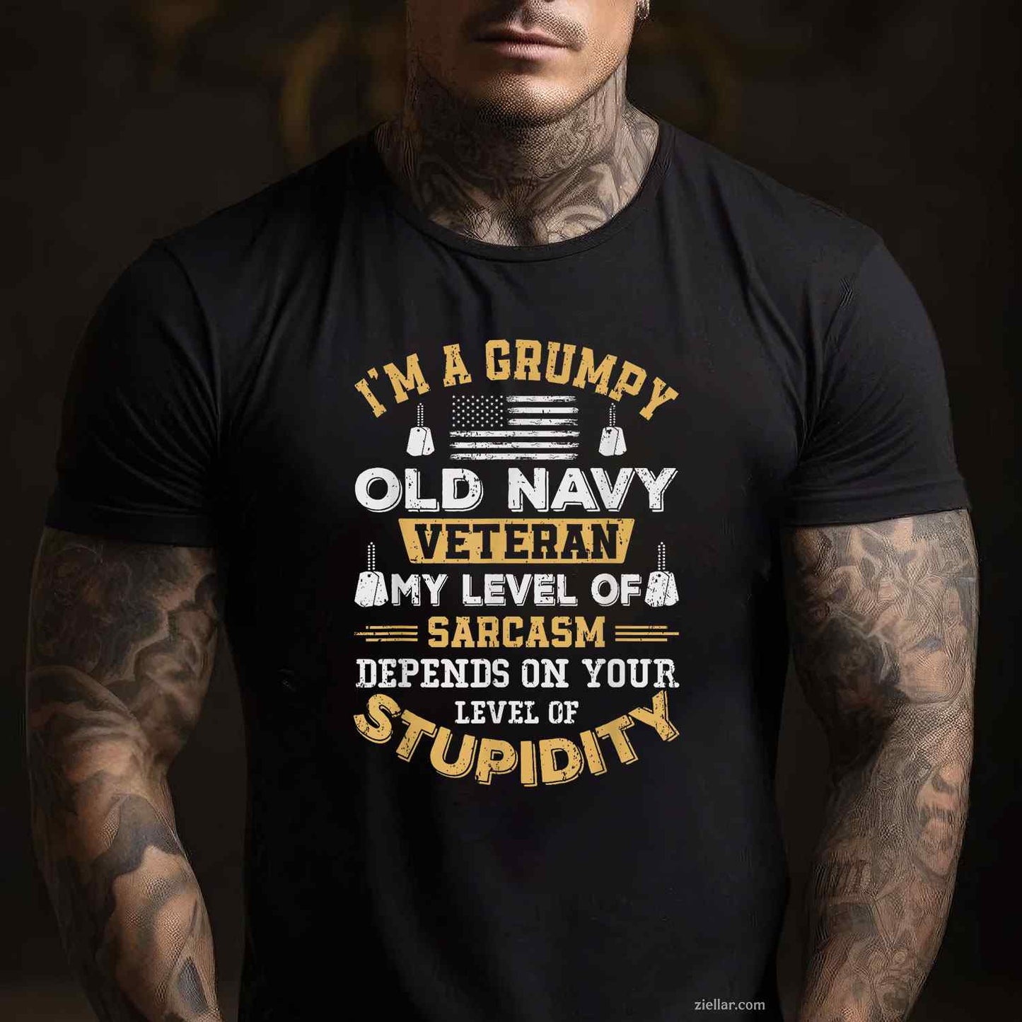 Grumpy Old Veteran Patriotic Funny Military Usa T-Shirt And Tee For Adults