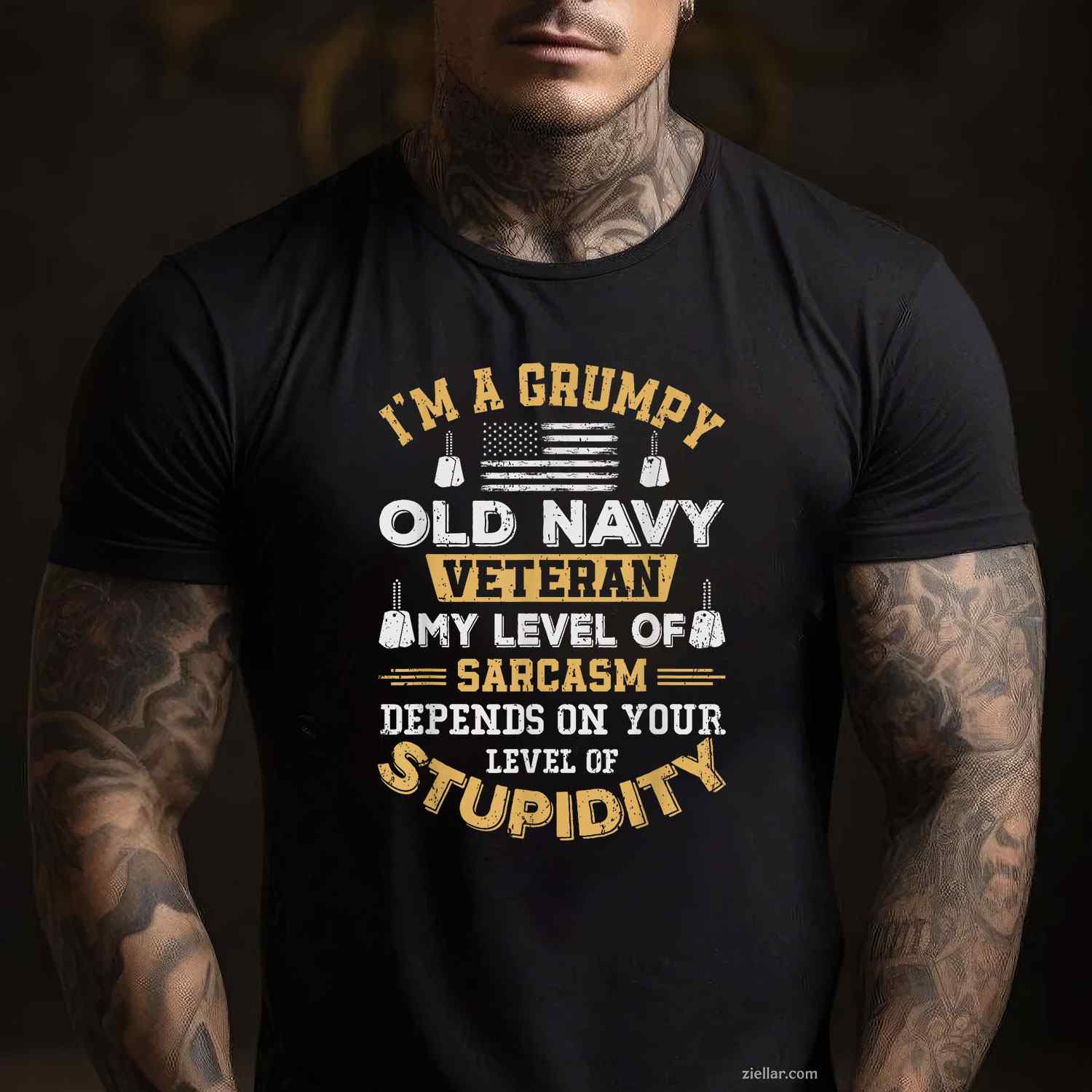 Grumpy Old Veteran Patriotic Funny Military Usa T-Shirt And Tee For Adults