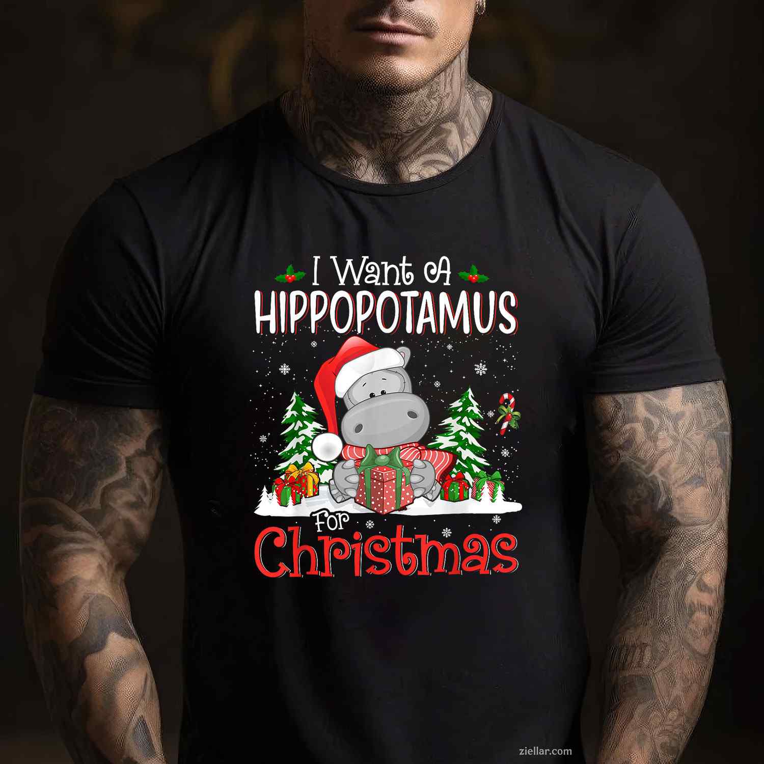 I Want A Hippopotamus For Christmas Xmas Hippo For Women T-Shirt, A Funny Hippopotamus For Christmas Hippo Tee