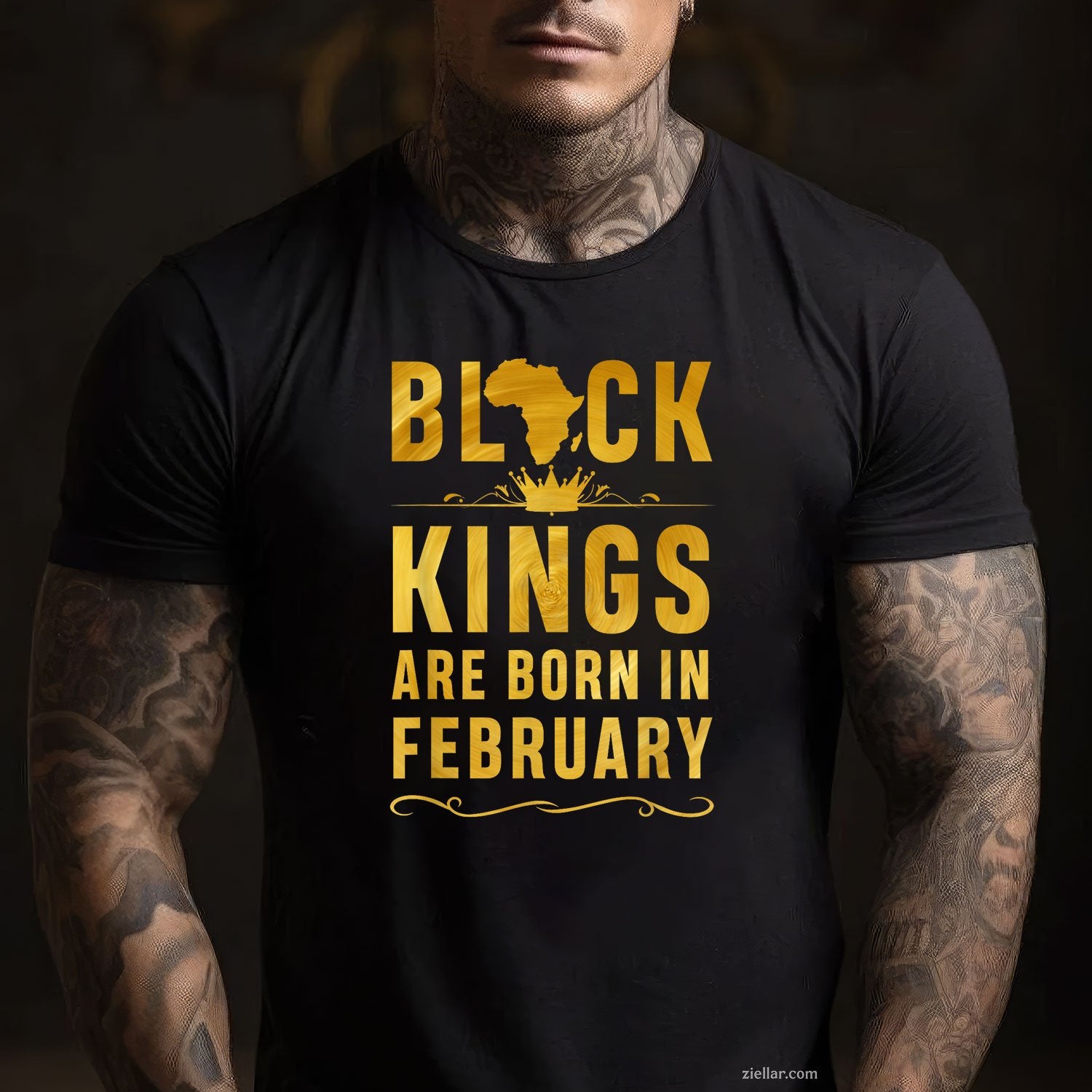 Kings Are Born in February Tee and T-Shirt, Black Men Birthday T-Shirt Gift for Adults