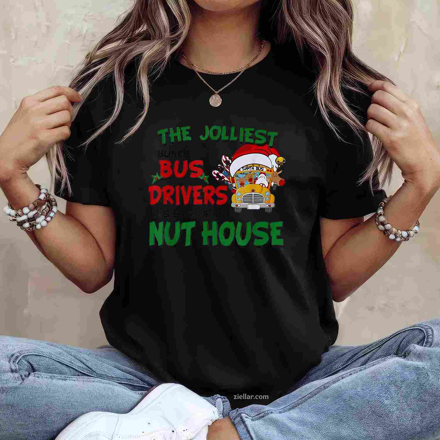 The Jolliest Bunch Of Bus Driver This Side Of The Nut House T-Shirt, A Funny Bus Driver Christmas Tee